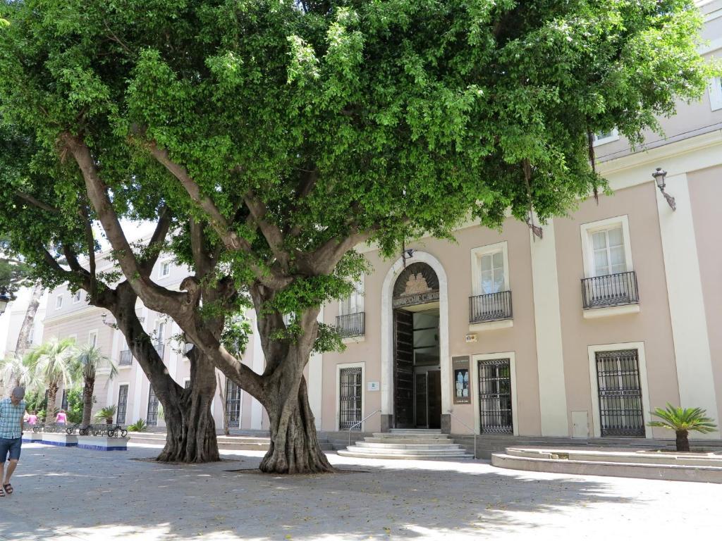 Casa Palacio Cadiz By Luxury Suites Cádiz Dış mekan fotoğraf